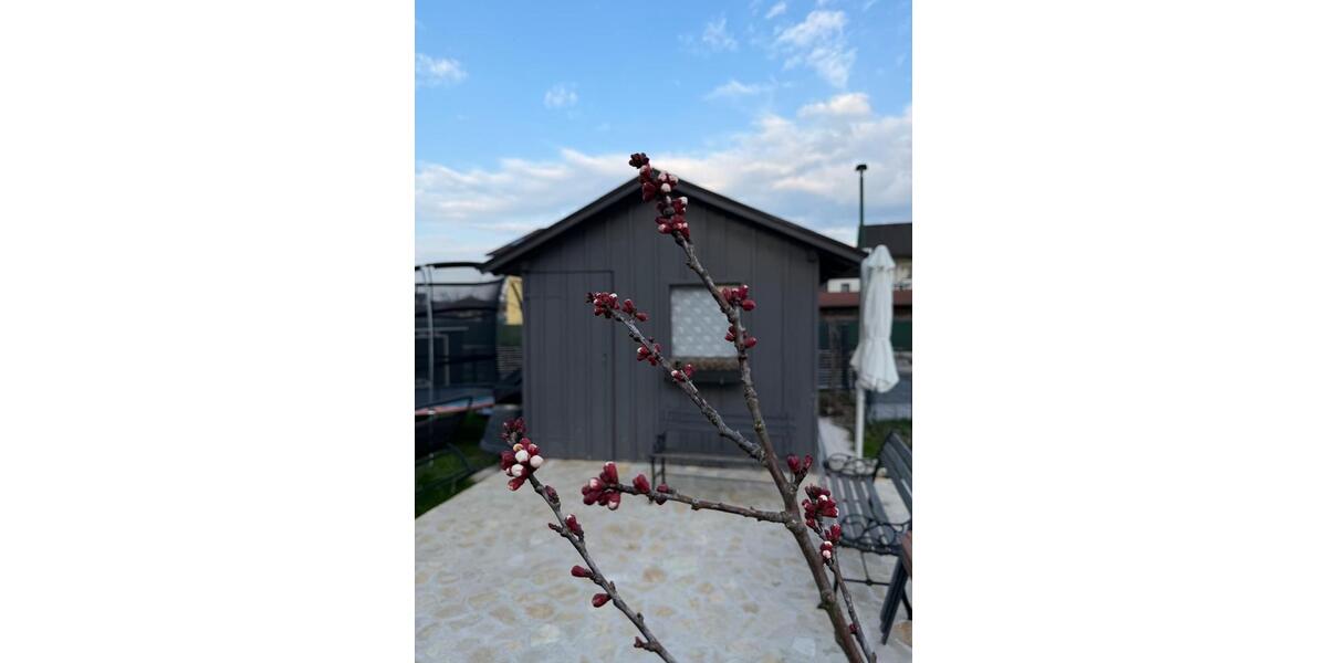 Mehrfamilienhaus, Wohnhaus Laufen - 13 Zimmer, 360 m&sup2;, 2.190.000&euro; | Angebot:25930657