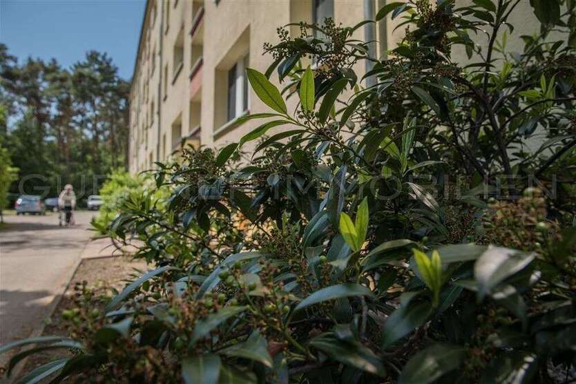 Wohnung zum Kaufen in Ludwigsfelde 149.000 € 58 m²