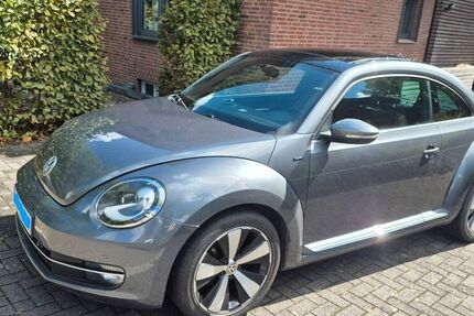 VW Beetle