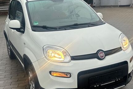 Fiat Panda 100.000 km 6.300 &euro; Auerbach 08209