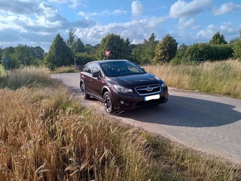 XV