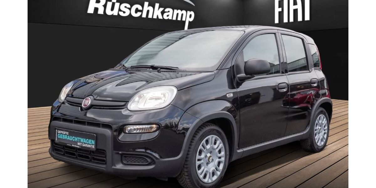 Fiat Panda 11.018 km 15.480 &euro; Lüdinghausen 59348
