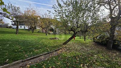 GROß UND GÜNSTIG zimmer