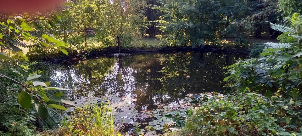 Bauernhaus, Landhaus Fehrbellin - 8 Zimmer, 200 m&sup2;, 325.000&euro; | Angebot:24506221