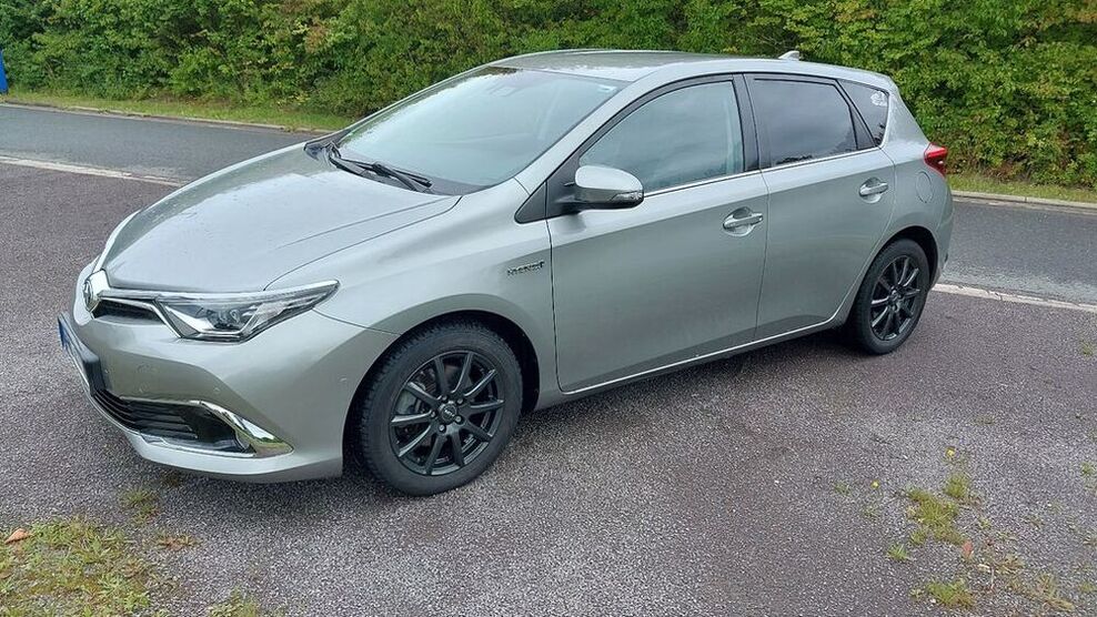 Auris