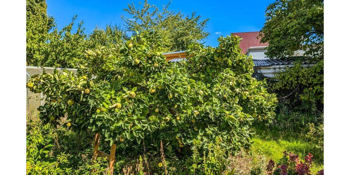 Einfamilienhaus Torgau Staupitz - 7 Zimmer, 215 m&sup2;, 139.000&euro; | Angebot:25676296