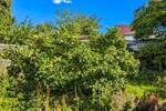 Einfamilienhaus Torgau Staupitz - 7 Zimmer, 215 m&sup2;, 139.000&euro; | Angebot:25676296