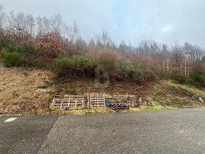 RUHIG UND NATURNAH MIT POSTKARTENPANORAMA - Grundstück Wolfach | Angebot:26184370
