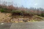 RUHIG UND NATURNAH MIT POSTKARTENPANORAMA - Grundstück Wolfach | Angebot:26184370