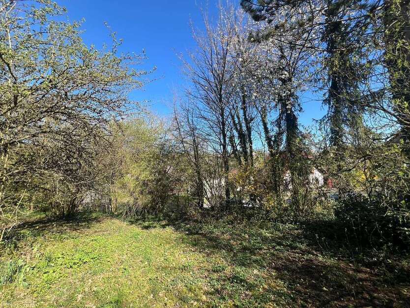 Grundstück zu verkaufen in Nußbaum 119.000 € 1042 m²