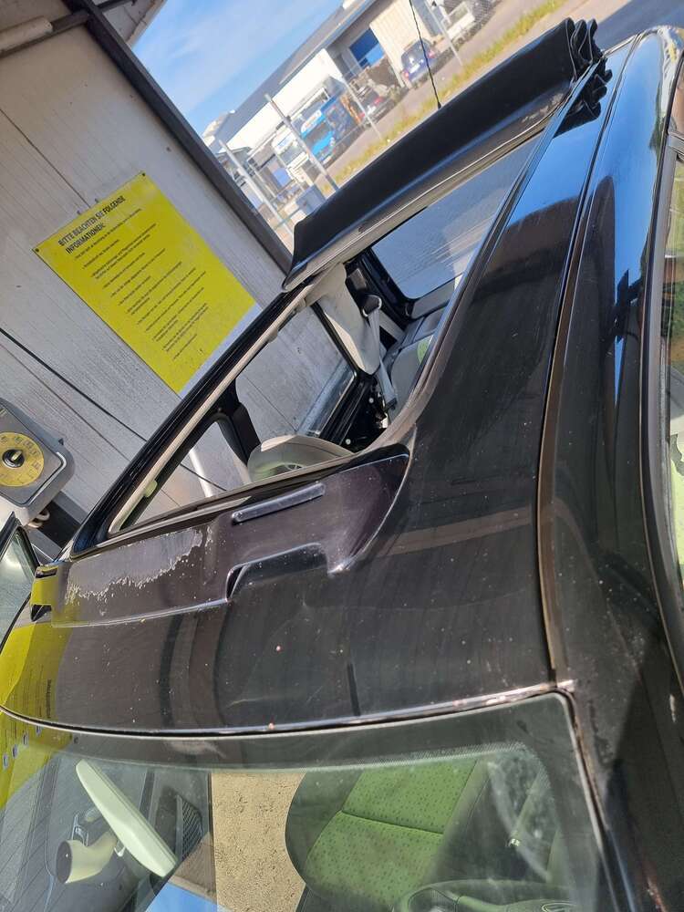 Lupo