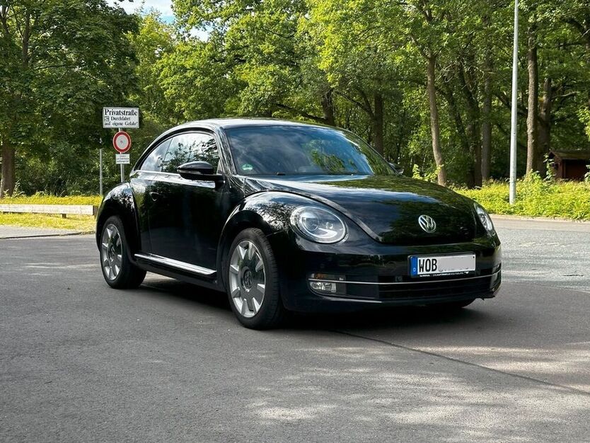 Beetle