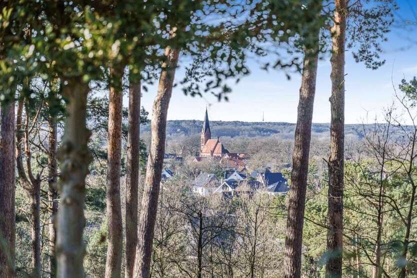 Haus zum Kaufen in Seevetal Ramelsloh 729.000 € 159.7 m²