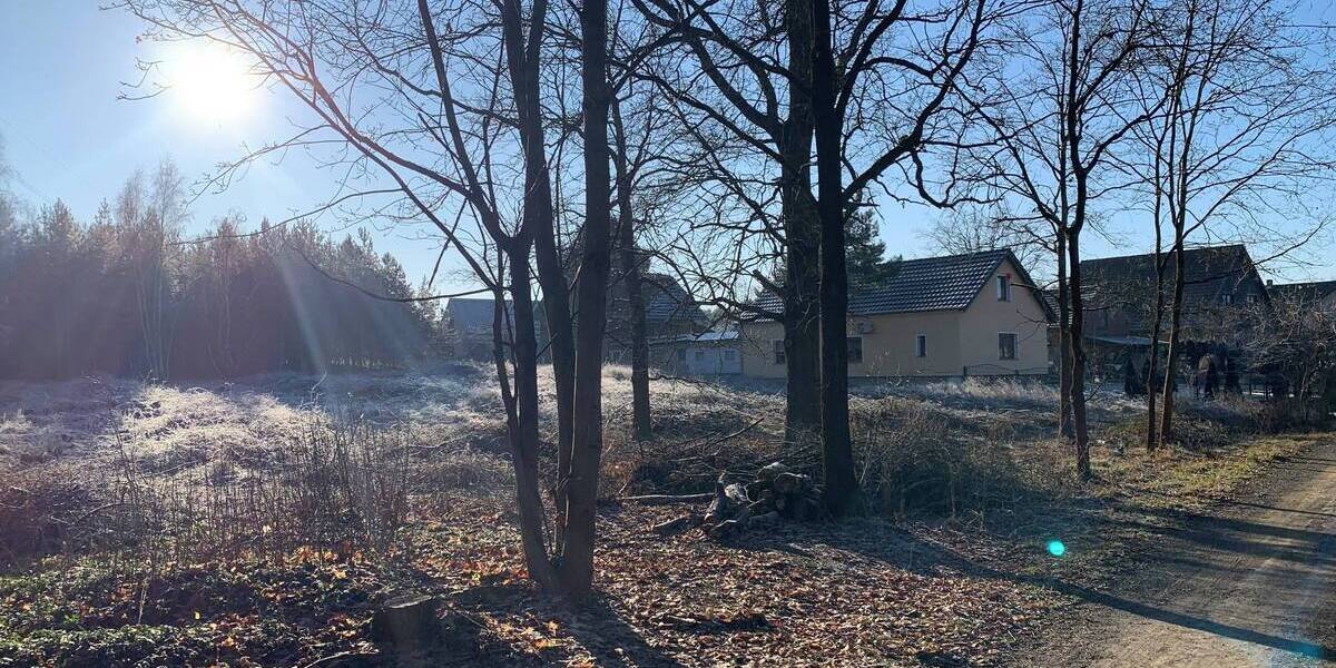 Baugrundstück im Spreewald Schmogrow zu verkaufen zimmer
