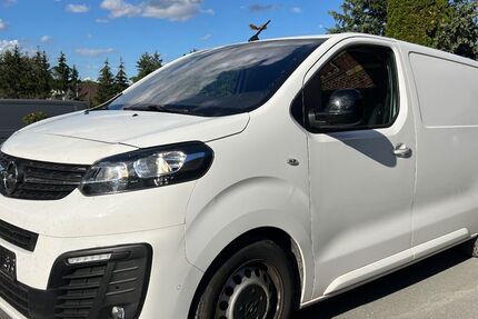 Opel Vivaro 116.000 km 15.200 &euro; Werdau 08412