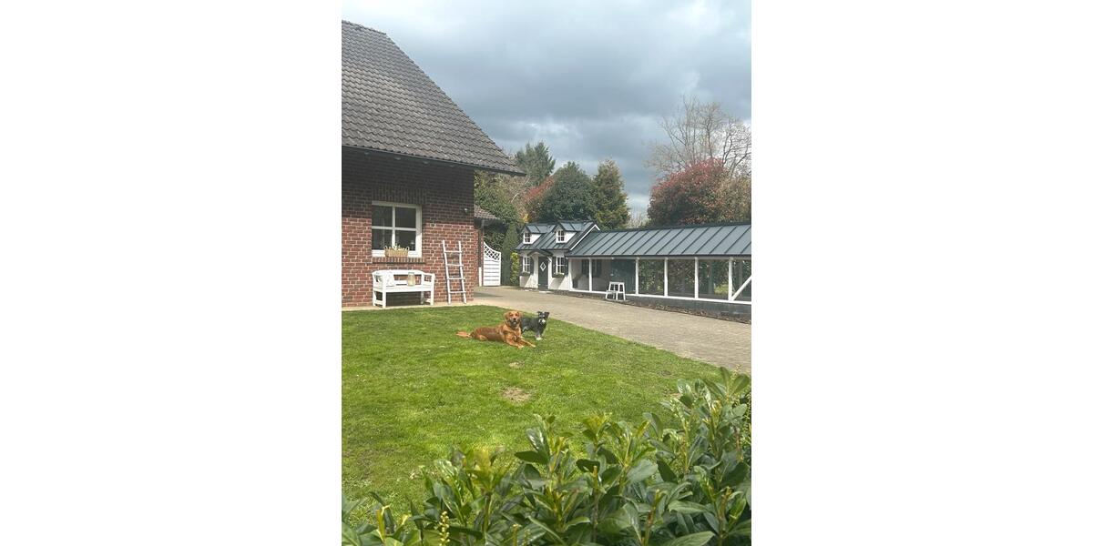 Einfamilienhaus Windeck - 6 Zimmer, 202 m&sup2;, 585.000&euro; | Angebot:26836310