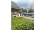 Einfamilienhaus Windeck - 6 Zimmer, 202 m&sup2;, 585.000&euro; | Angebot:26836310