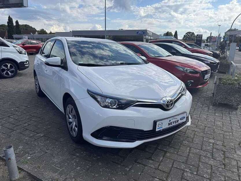Auris