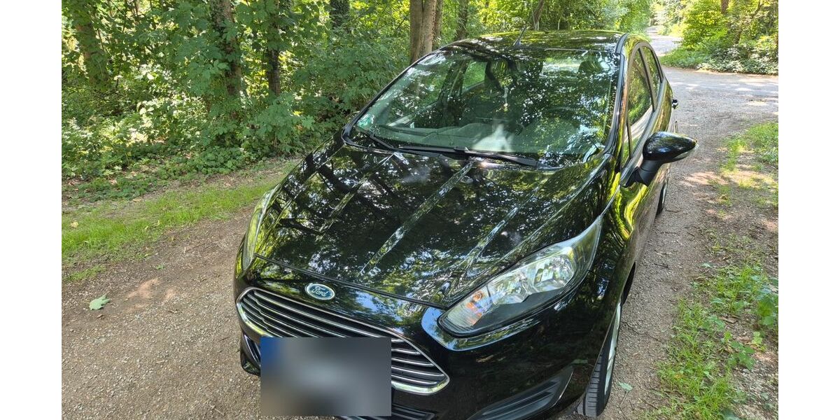 Ford Fiesta 102.696 km 5.250 &euro; Moosburg 85368