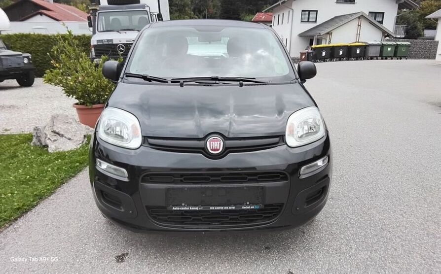 Panda