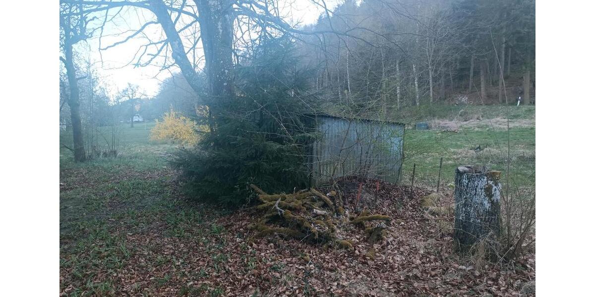 Bauernhaus, Landhaus Oberzent - 1 Zimmer, 111 m&sup2;, 125.000&euro; | Angebot:26824139