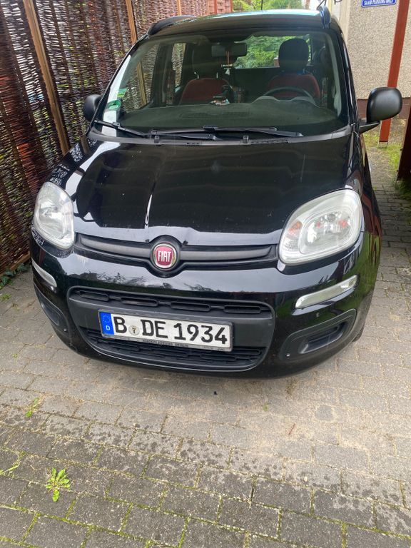 Panda
