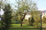 Etagenwohnung Rostock Hansaviertel - 2 Zimmer, 53 m&sup2;, 740&euro; | Angebot:26350925