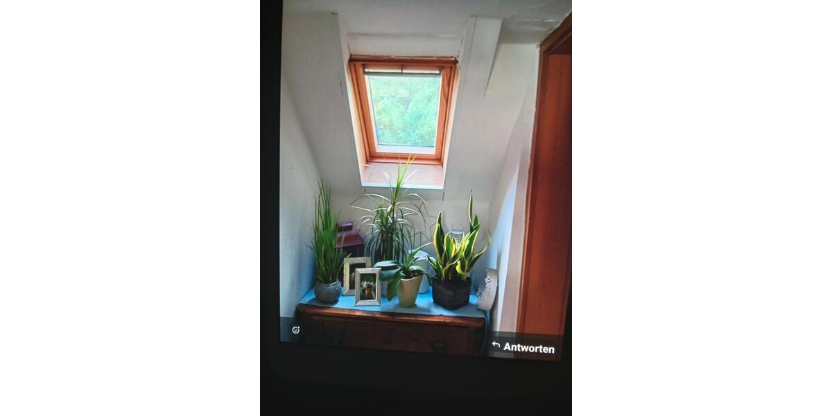 Doppelhaushälfte Winterberg - 4 Zimmer, 100 m&sup2;, 119.000&euro; | Angebot:26766485