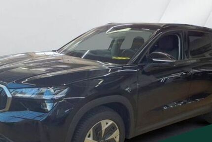 Skoda Kodiaq 20.968 km 43.750 &euro; Regen 94209