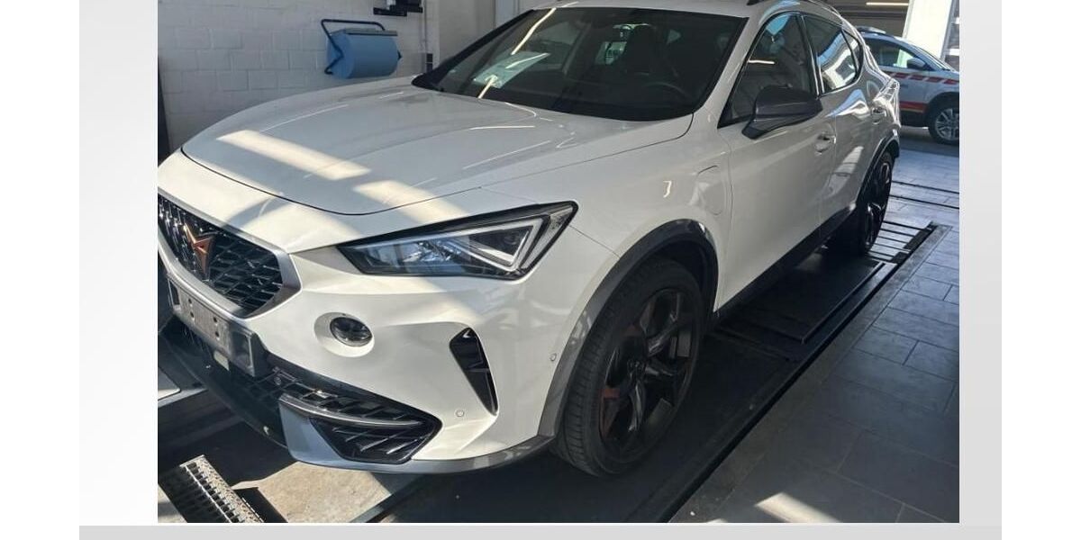 Cupra Formentor 82.300 km 24.890 &euro; Burgoberbach 91595