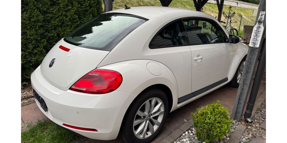 VW Beetle 163.168 km 5.900 &euro; Etzenricht 92694