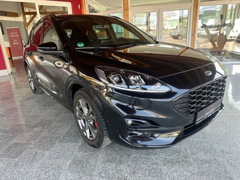 Kuga