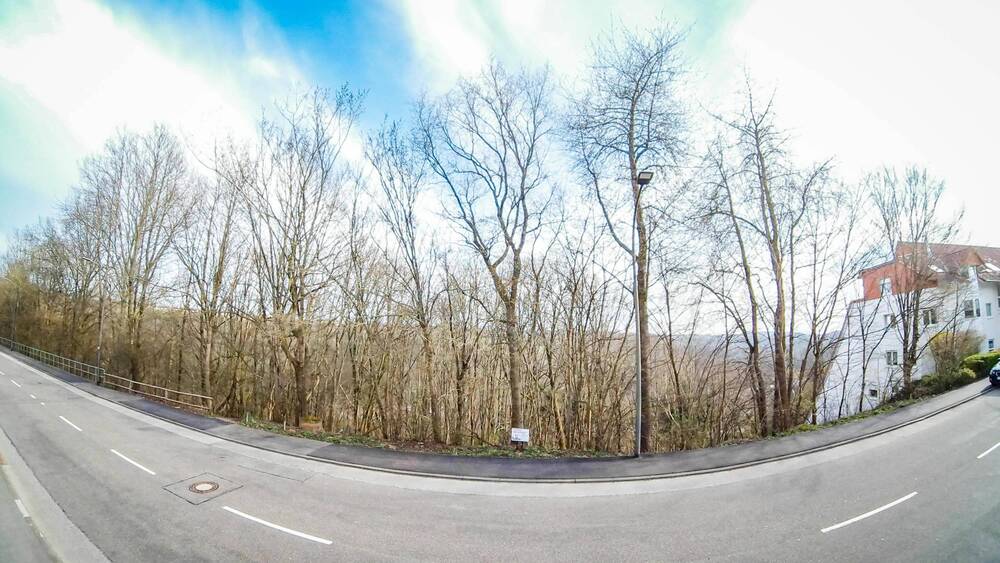 Grundstück Pirmasens Innenstadt - 69.500&euro; | Angebot:19305035