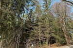 Gepflegtes Waldgrundstück in Reichertshausen - Grundstück Reichertshausen | Angebot:24274580