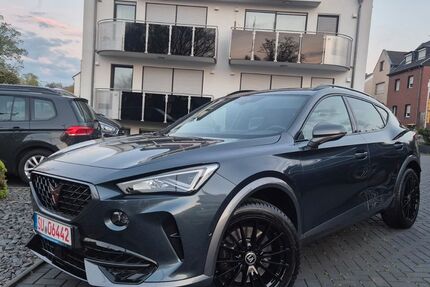 Cupra Formentor 28.230 km 25.999 &euro; Bornheim 53332