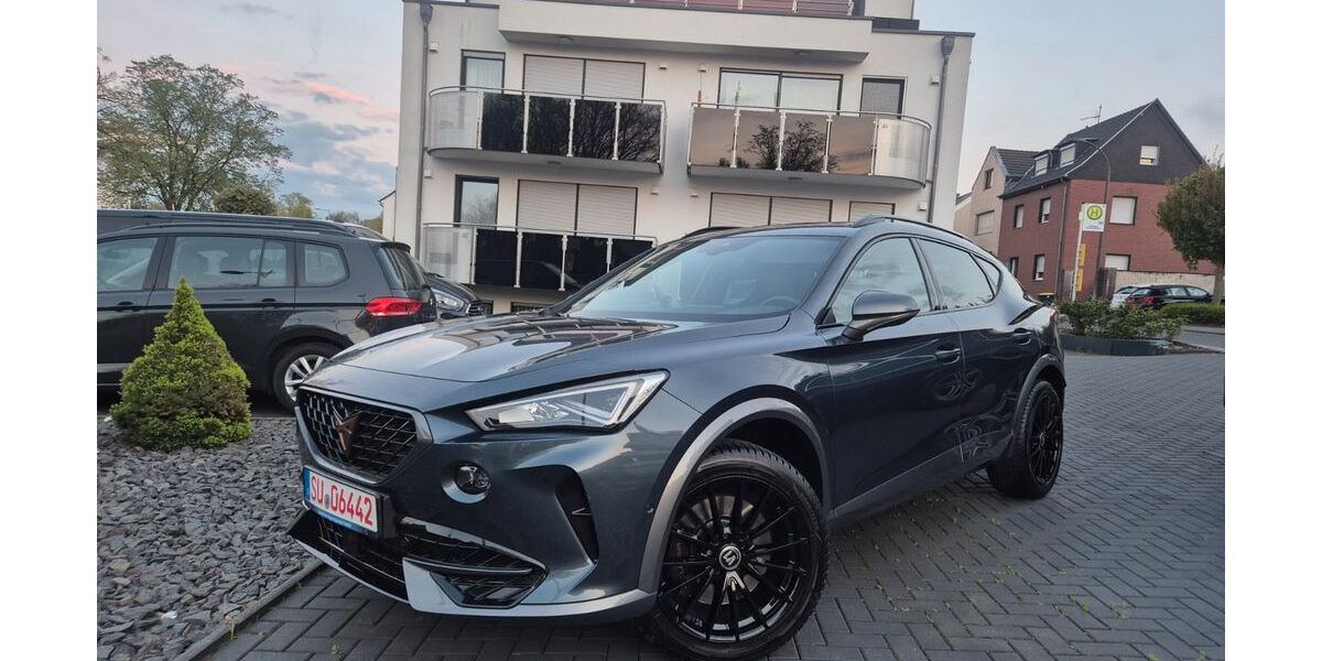 Cupra Formentor 28.230 km 25.999 &euro; Bornheim 53332