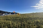 High-End Einfamilienhaus mit Einliegerwohnung in Bayern: zum Flughafen MUC 39km - Einfamilienhaus M-Scheyern Scheyern | Angebot:25933558