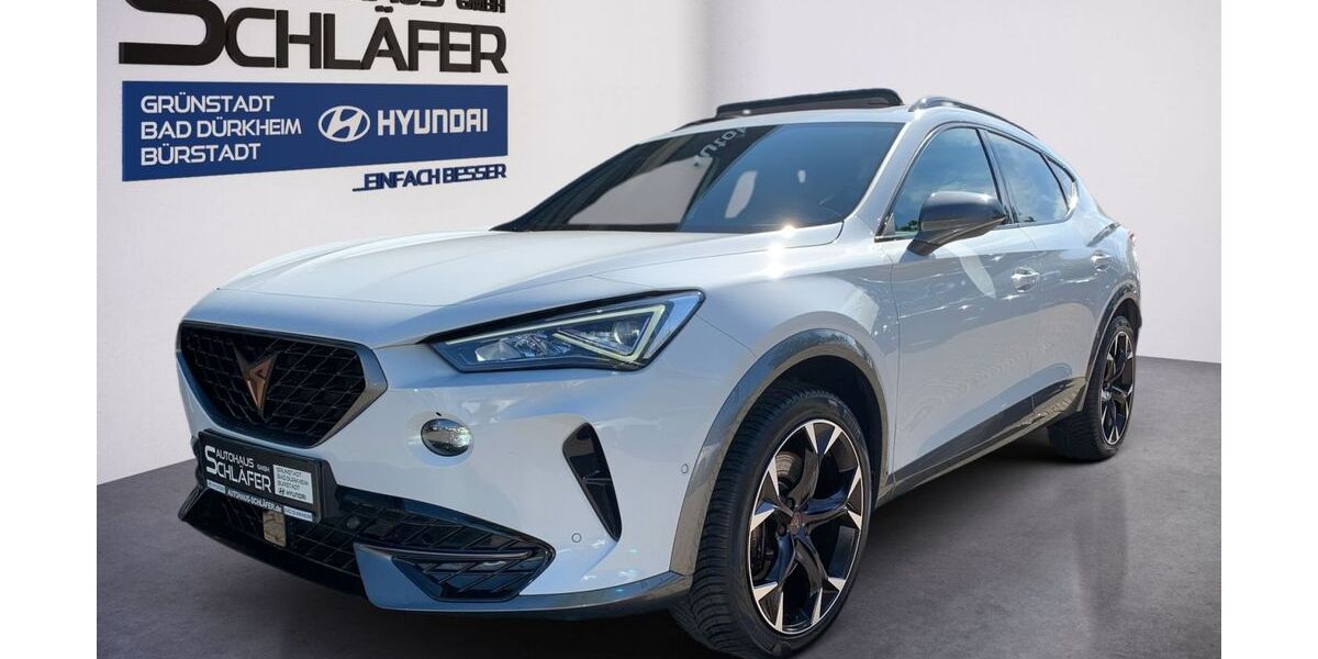 Cupra Formentor 57.312 km 29.480 &euro; Bad Dürkheim 67098