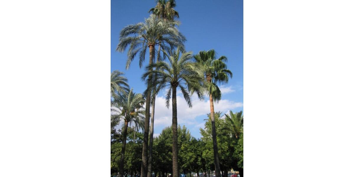 Ferienimmobilie Düsseldorf Niederkassel - 105&euro; | Angebot:24641710