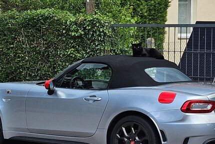Abarth 124 Spider 28.500 km 32.700 &euro; Freilassing 83395
