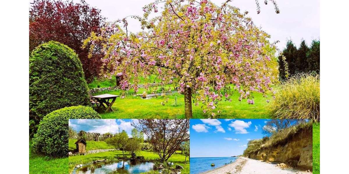 Grundstück Nordwestmecklenburg - Landkreis - Dassow Dassow - 450.000&euro; | Angebot:27033363