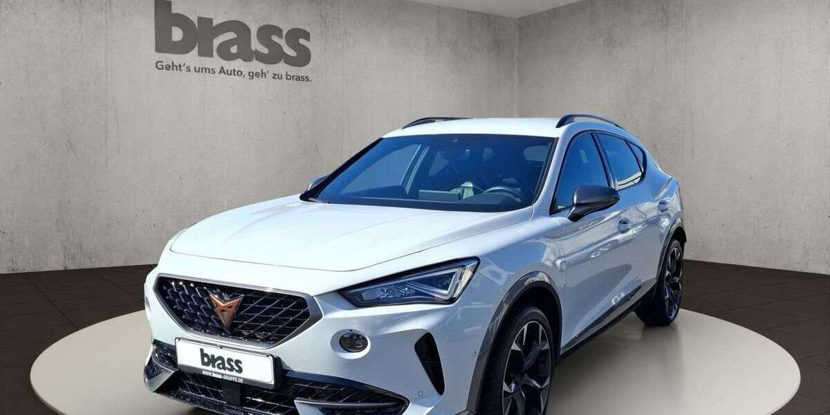 Cupra Formentor 65.114 km 27.950 &euro; Alzenau 63755