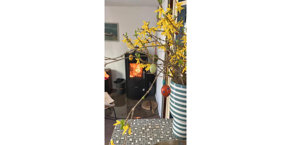 Bungalow Bad Freienwalde (Oder) - 2 Zimmer, 26 m&sup2;, 400&euro; | Angebot:26272353