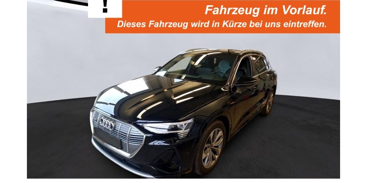 Audi e-tron 20.198 km 33.950 &euro; Rheine 48432