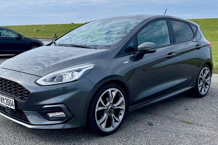 Ford Fiesta 92.000 km 9.999 &euro; Hattstedtermarsch 25856