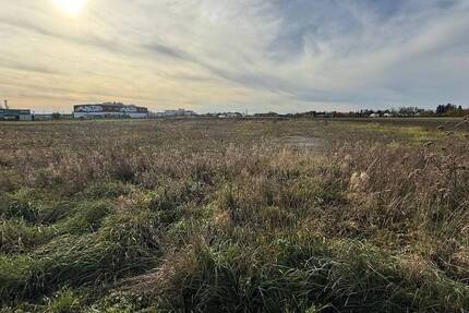 Grundstück Asbach-Bäumenheim Bäumenheim - 1.500.000&euro; | Angebot:23953461