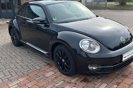 VW Beetle