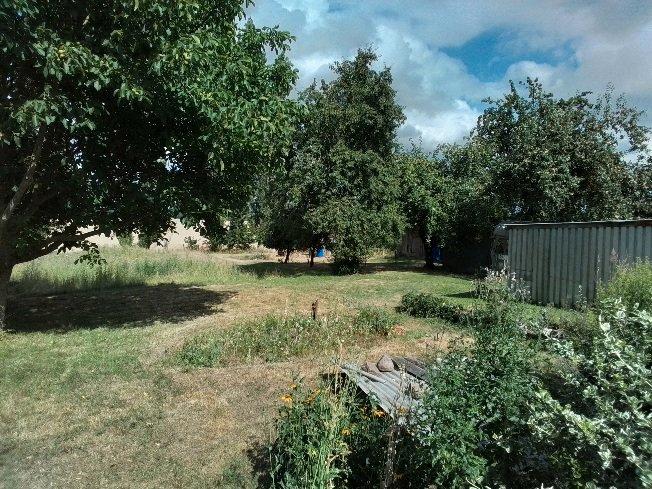 Einfamilienhaus Burow - 6 Zimmer, 204 m&sup2;, 75.000&euro; | Angebot:27108365