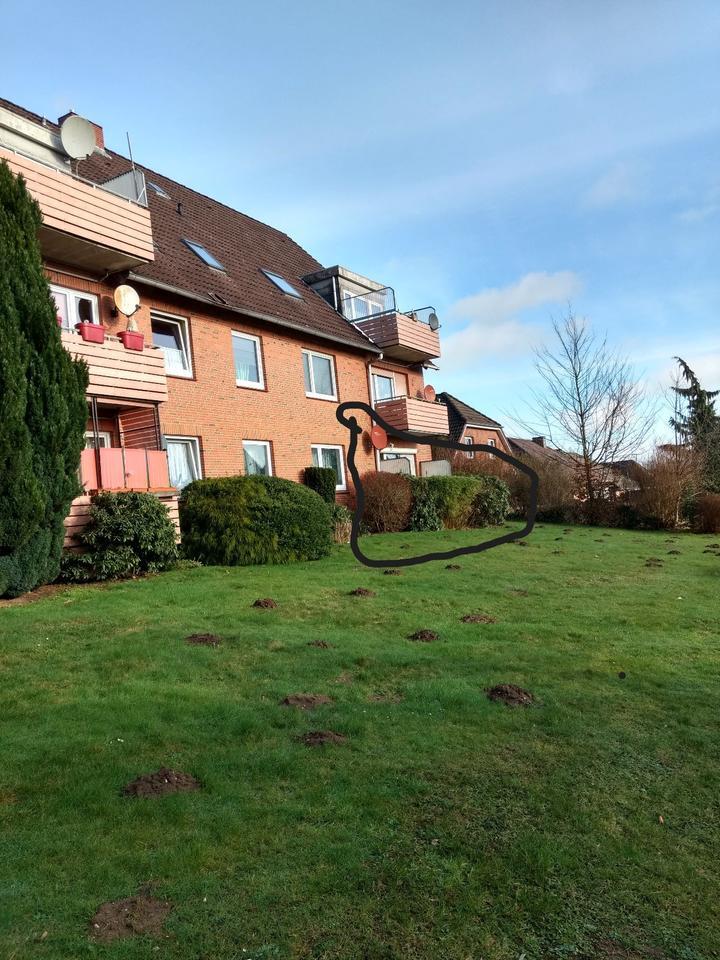 Gemütliche 3-Zimmer-Wohnung mit Balkon in Hanerau-Hademarschen
