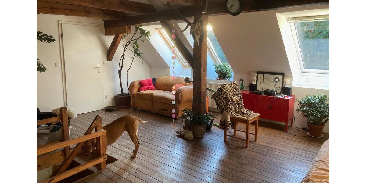 Einfamilienhaus Murchin - 8 Zimmer, 443 m&sup2;, 580.000&euro; | Angebot:26069030